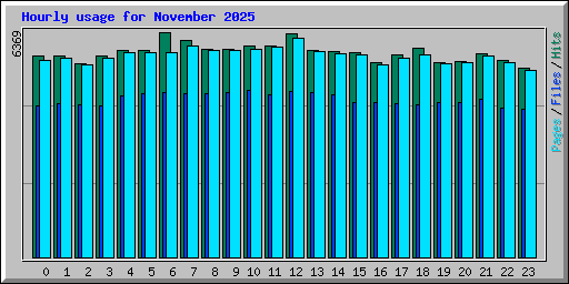 Hourly usage for November 2025
