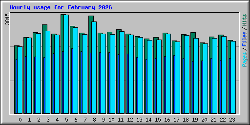 Hourly usage for February 2026