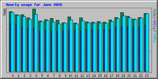 Hourly usage for June 2026