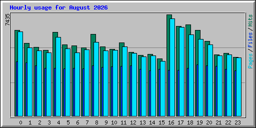 Hourly usage for August 2026